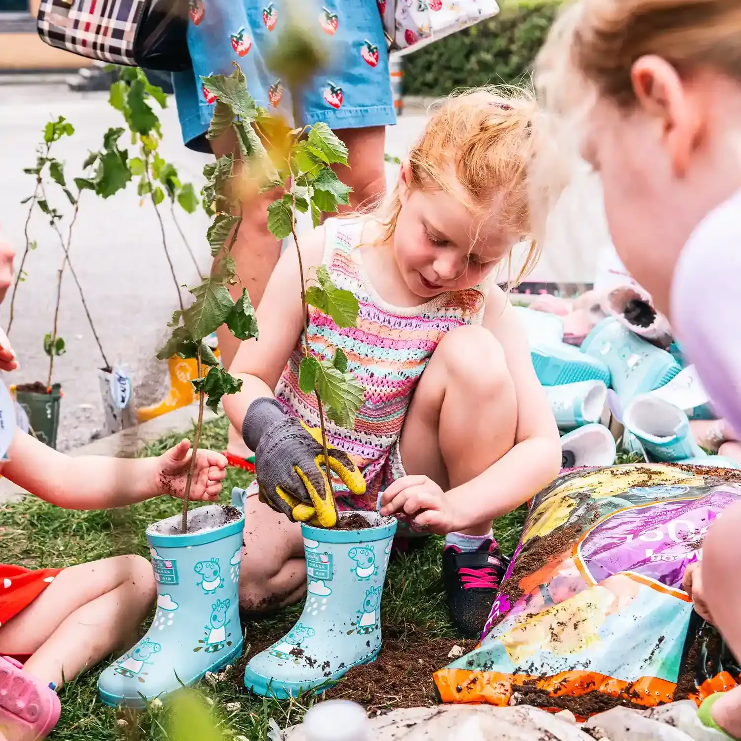 Festival highlight 34